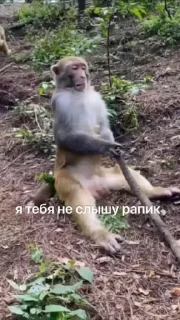 😏