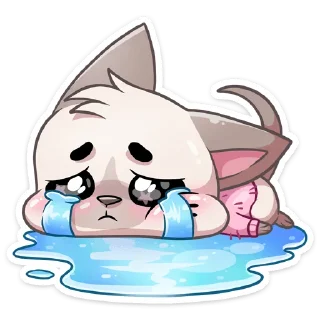 😿