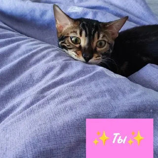 😘