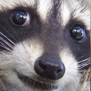 😱