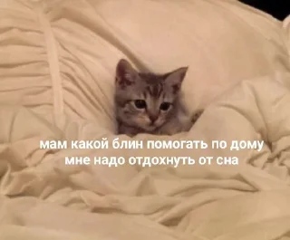 🤍