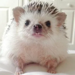 😬