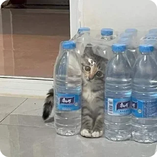 😥