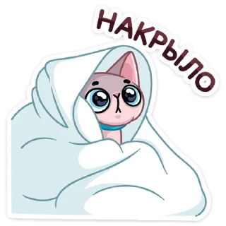 🙈