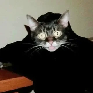 🌚
