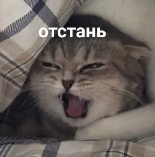 🤬