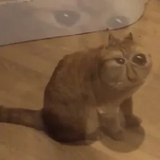 🥴