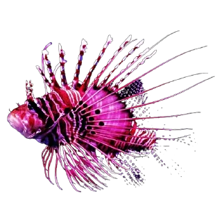 🐡