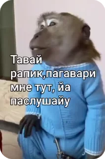 🌟