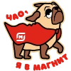 Stickers_Magnit