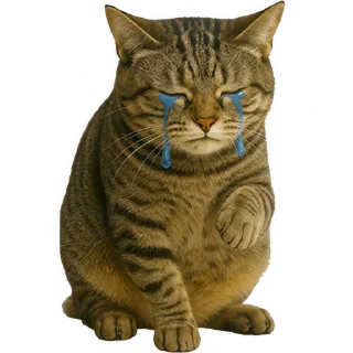 😭
