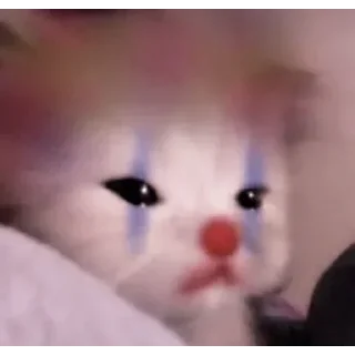 🐶