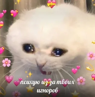 😭