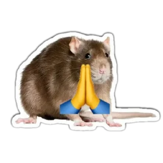 🙏