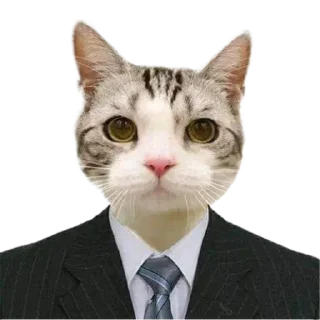 👨‍⚖️