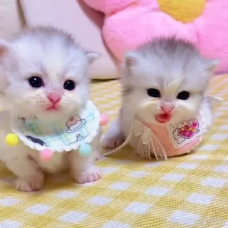 🥰