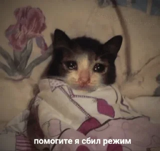 😢