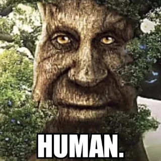 😳