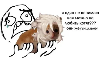 🤨