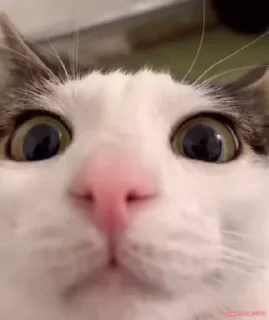 😨