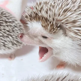 😵