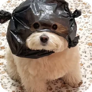 👍