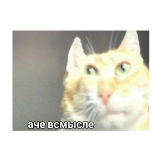 😳