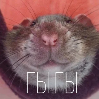 😄