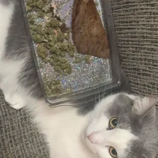 😋