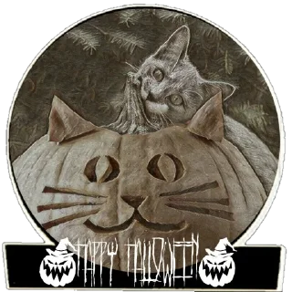 🎃