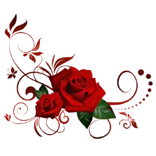 🌹