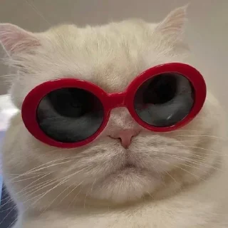 😎