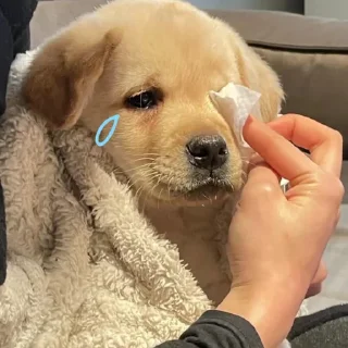 😢