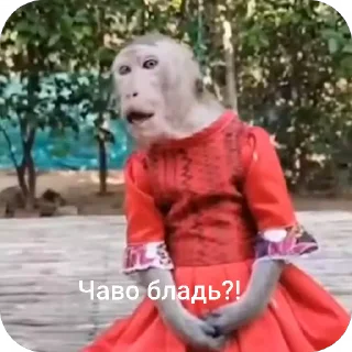 😮