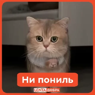 😟