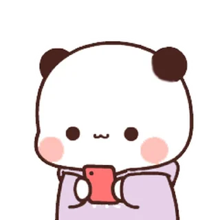 🐻