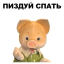 🐷