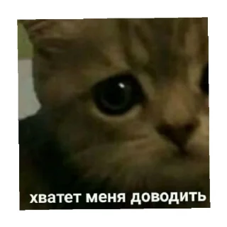 🥺