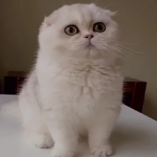 😶