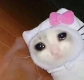 😭