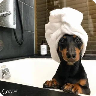 🚿