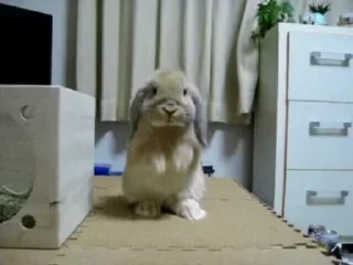 🥺