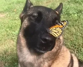 🙂