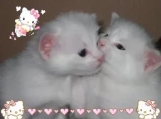 💕