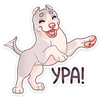 🐶