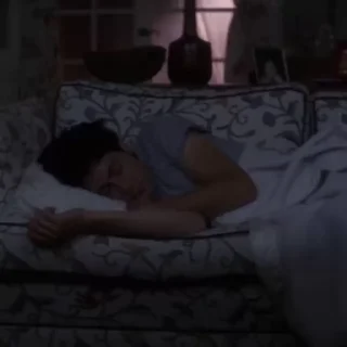 🐰