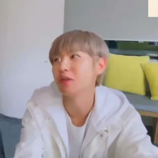 🦊