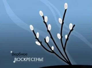 🌷