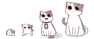 🐈