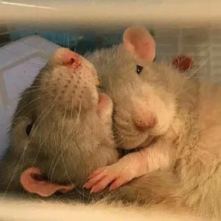 ❤️